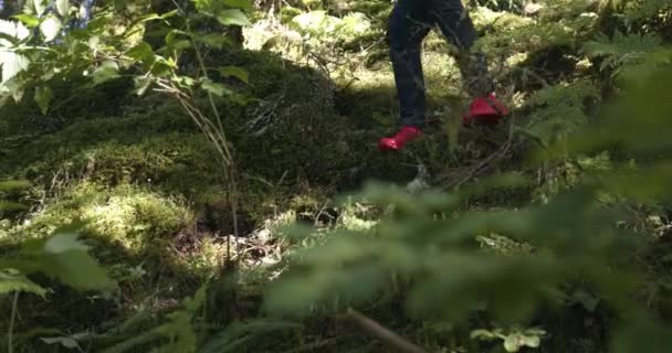 Man Red Shoes Trail Running Grassy Hill Alaska Usa Low — 图库视频影像