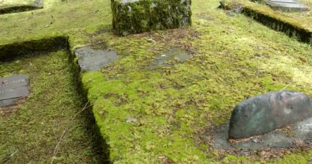 Old Graveyard Covered Lichen Moss Daylight Countryside Alaska Usa Tilt — Vídeo de Stock