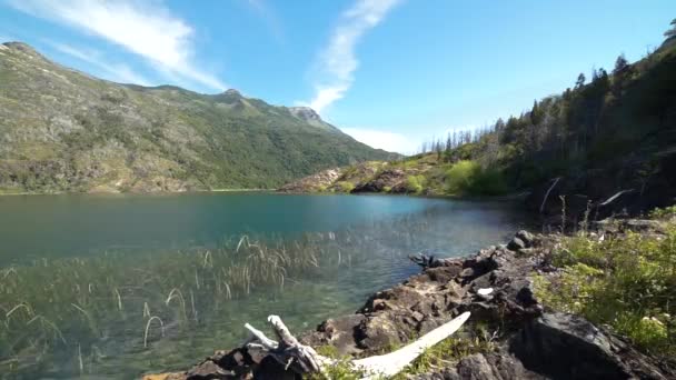 Timelapse Puelo Lake Rocky Coastline Wth Mountains Pine Forest Background — Wideo stockowe