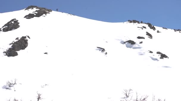 Professional Sportsman Skiing Alone Covered Snow Hill Bolsn Patagonia Argentina — Wideo stockowe
