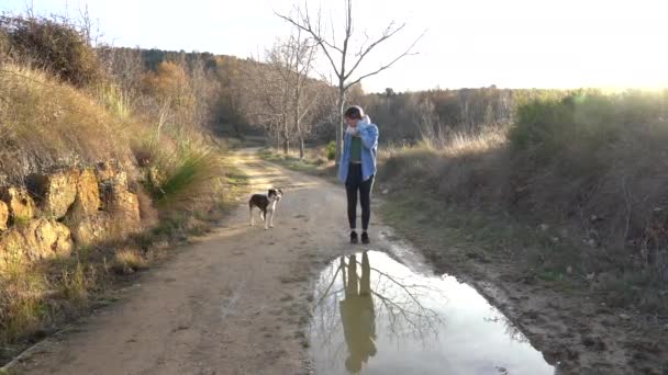 Dog Surprises Traveler Road Starts Drinking Water Front Her — Vídeos de Stock