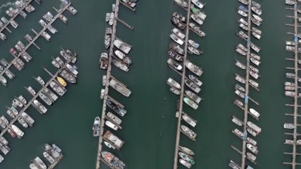 Birds Eye Aerial View Sailing Fishing Charter Boats Yachts Harbor — Stock video