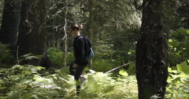 Young Woman Hiking Green Alaskan Forest Sunny Summer Day Slow — 비디오