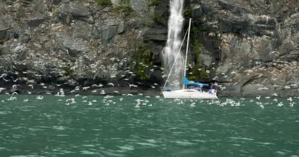 Alaska Usa Flock Seagulls Flying Sailboat Waterfall Coastline Cliff Slow — ストック動画