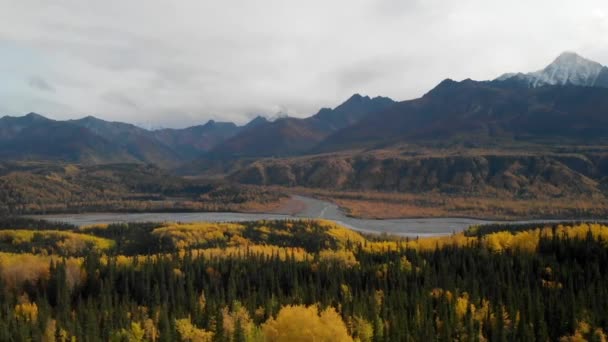 Hava Manzarası Alaska Manzarası Buzul Nehri Sarı Sedir Ormanı Sonbahar — Stok video