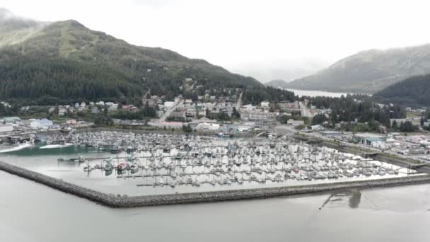 Aerial View Seward Boat Harbor Alaska Usa Sailboats Charter Boats — Vídeos de Stock
