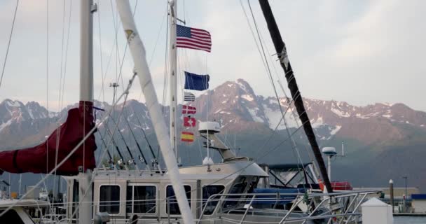 Multinational Flags Sailing Fishing Boats Waving Strong Wind Seward Harbor — Vídeo de Stock