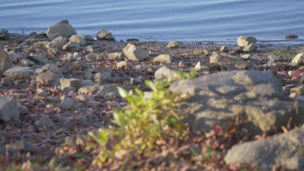 Rocky Shore Line Beach Water Waves Lake Slow Motion — Vídeo de stock