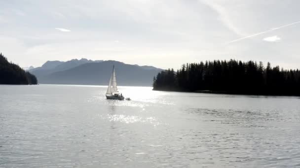 Sailing Boat Ocean Lagoon Prince William Sound Alaska Usa Sunny — Stok Video