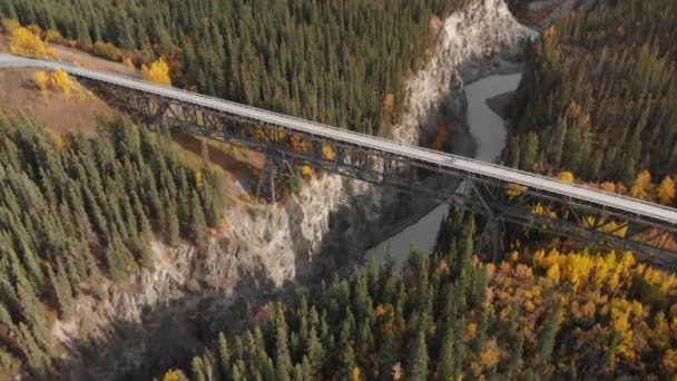 Aerial View Steel Bridge River Canyon Scenic Roadway Alaska Usa — Stok video