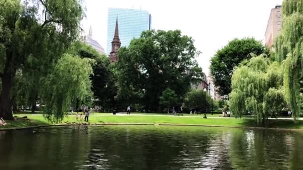 Green Natural Landscape Trees Boston Public Garden John Hancock Tower — Stockvideo