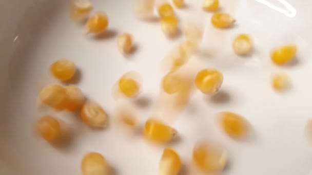 Corn Falls White Bowl Full — Stockvideo