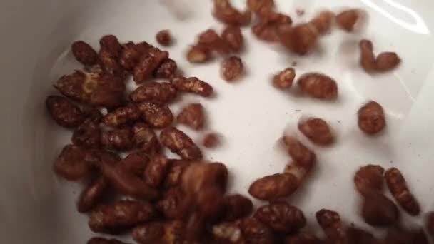 Detail Chocolate Cereals Falling Bowl — Stockvideo