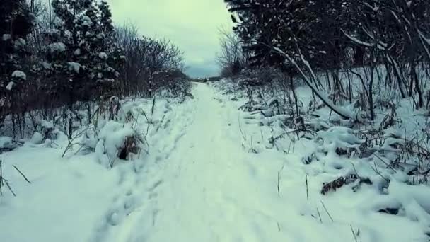 Walker Pov Gimbal Shot Walking Snow Covered Trail — Vídeo de Stock