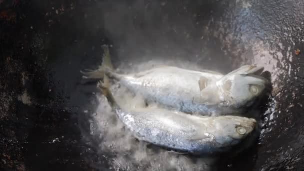 Fishes Short Mackerels Slides Boiling Cooking Pan — Stok video