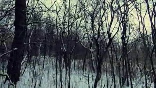 Pan Left Shot Winter Landscape Snow Leafless Trees — Vídeo de Stock