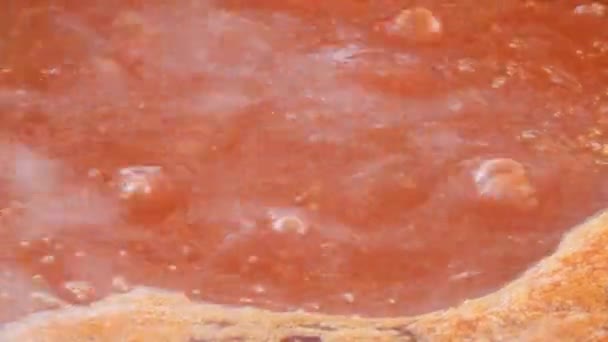 Boiling Tomato Sauce Close Shot — Video Stock