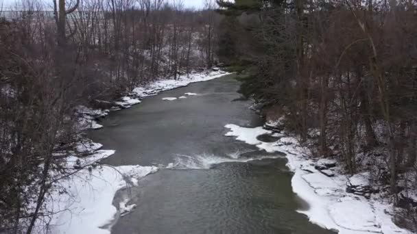Icy Winter River Forest Closeup Water — Vídeo de Stock