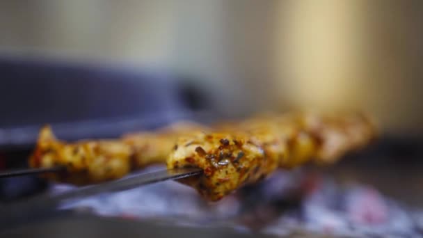 Het Bereiden Van Shish Kebab Spiesen Boven Een Vuur — Stockvideo