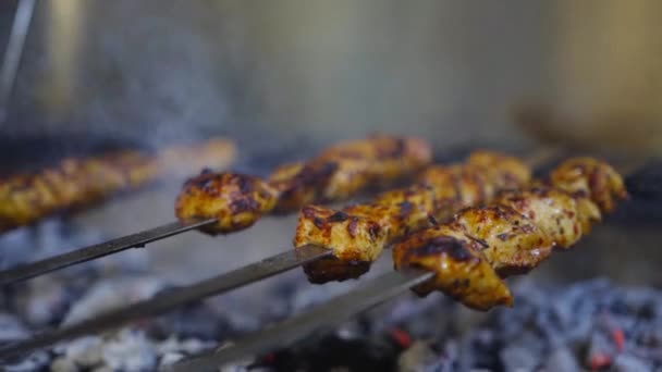 Preparing Cooking Smokey Kebabs — Stok video