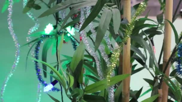 Tinsel Garlands Christmas Lights Hanging Plant Indoor Medium Shot — Stock video