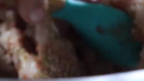 Ανακατεύοντας Άψητο Κρέας Κοτόπουλου Βότανα Και Μπαχαρικά Χρησιμοποιώντας Πλαστική Κουτάλα — Αρχείο Βίντεο