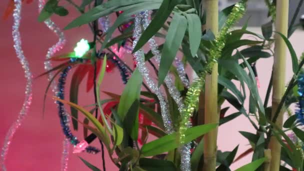 Lumières Festives Guirlandes Guirlandes Noël Placées Sur Une Plante Intérieur — Video