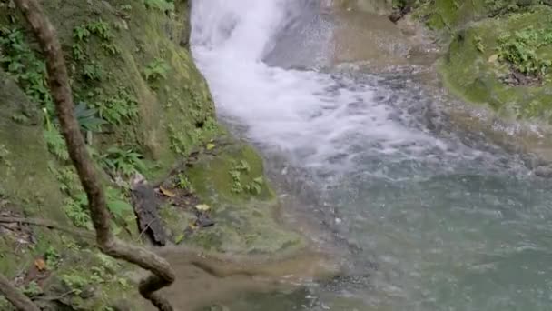 Slow Pan Fast Streamed Water Fall Mossy Rocks Plants Laying — Stock Video