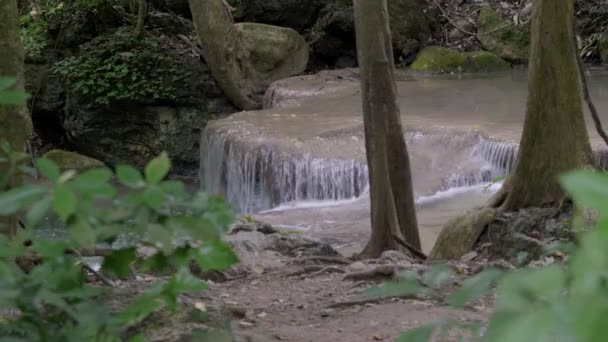 Ruisseau Eau Chute Une Courte Falaise Avec Des Plantes Premier — Video