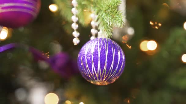 Традиционные Рождественские Елки Украшены Шариковыми Украшениями Бусины Ленты Огни Фиолетовый — стоковое видео
