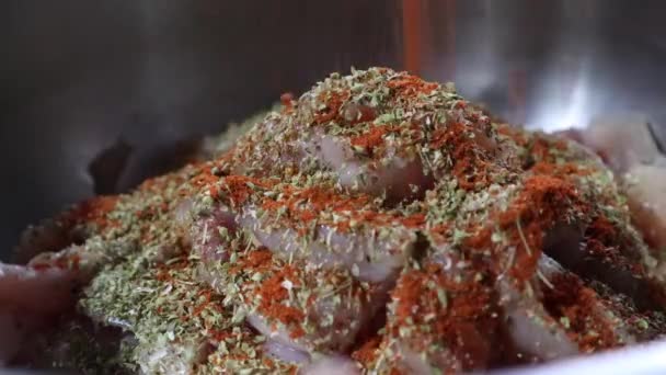 Chef Sprinkling Spices Herbs Salt Chicken Breast Fillet Close — Stockvideo