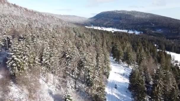 Bird Eye View Forest Landscape Snow Switzerland — Stok video