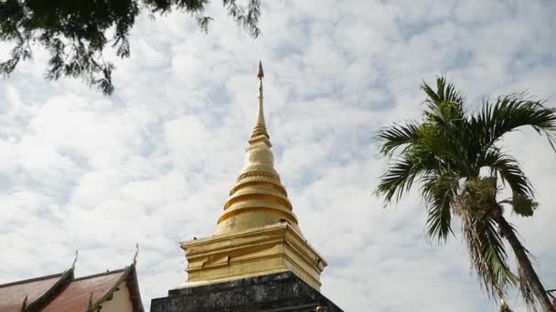 Pagoda Chedi Wat Phra Chang Kum Temple Golden Historic Landmaek — Stockvideo