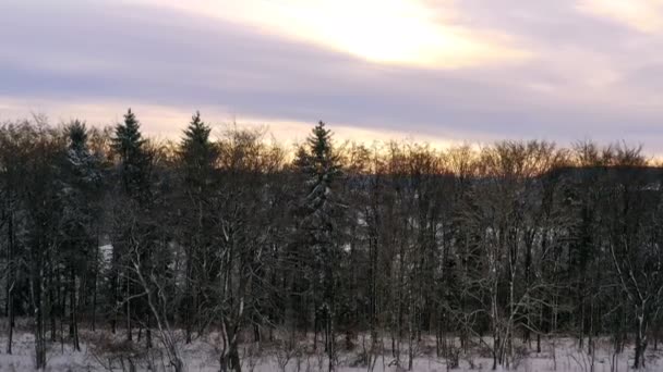 Smooth Unveiling Shot Winter Cityscape Shot Drone Looking Row Snow — Stok Video