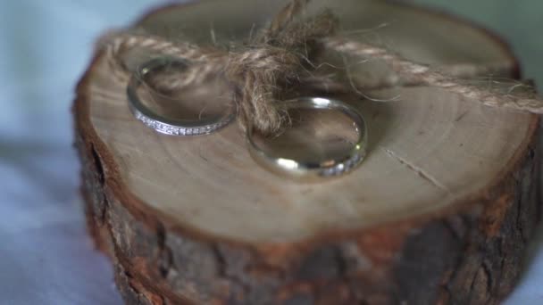 Two Gold Diamond Wedding Rings Bands Piece Live Edge Wood — Stok video