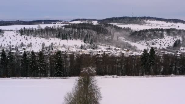Zimní Krajina Zpáteční Let Nad Řadou Holých Stromů Panoramatickým Výhledem — Stock video