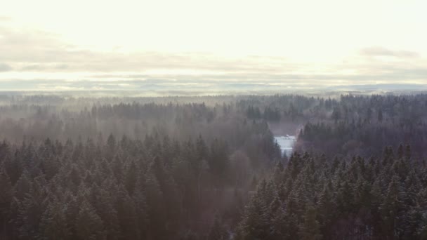 Timelapse House Forest While Fog Wandering Trees — Stockvideo