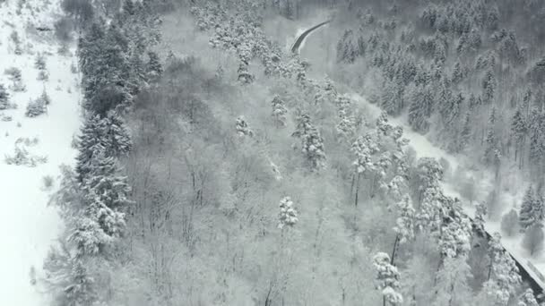 Drone Flight Winter Landscape Street Framed Many Trees Snowy Hills — Stockvideo