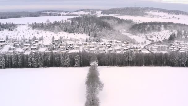 Winter Fairytail Flight Drone Row Trees Discover Snow Covered Part — ストック動画