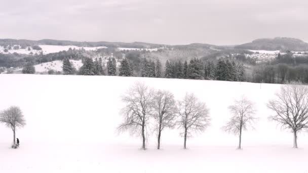 Muž Kráčí Psem Sněhem Nádherná Zimní Krajina Video Dronu Bílými — Stock video