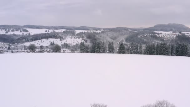 Smooth Flight Winter Landscape Wide White Snow Covered Field Forward — Vídeo de Stock