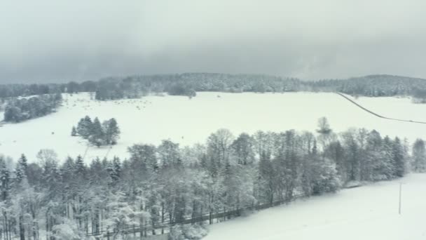 Aerial View Landscape Full Snow Winterwonderland Captured Street Forest Town — Vídeos de Stock