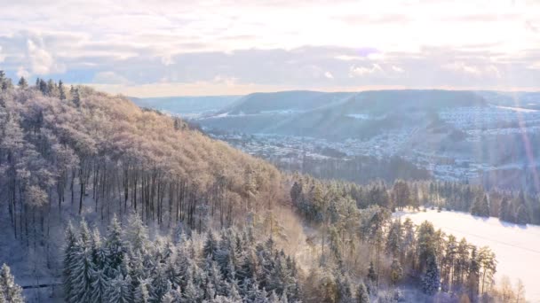 Winter Dolly Shot Flying Rightways Snow Covered Hill White Trees — Stockvideo