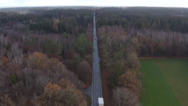 Driving Cars Straight Country Road Wide Horizon Filmed Drone — Wideo stockowe