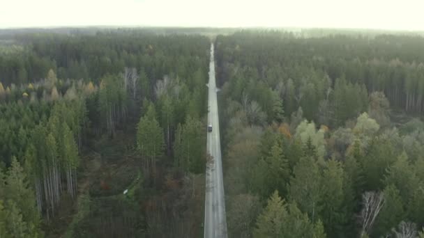 Car Front View Drone Flying Driving Direction Autumn Colored Forest – Stock-video