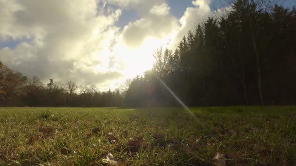 Timelapse Sunny Autumn Day Moving Clouds Low Perspective — ストック動画