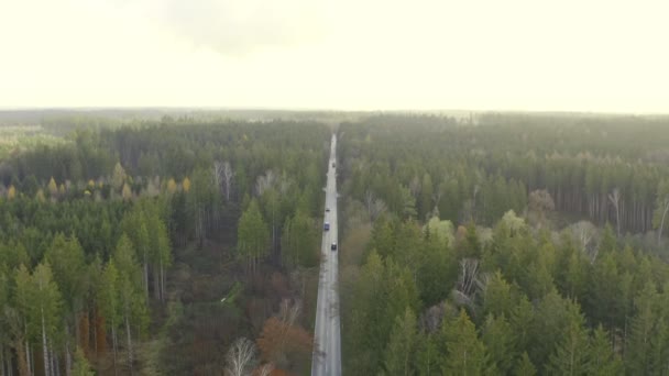 Pullback Shot Drone Autumn Colored Forest Tracking Transporter Car While — Video