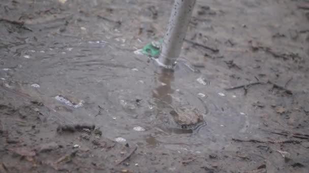 Rain Water Falling Mud Puddle Ground Stake Slow Motion — Stockvideo