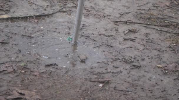 Rain Water Dripping Dirt Puddle Ground Stake Slow Motion — Video