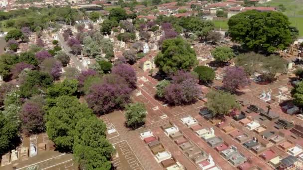 Large Cemetery Grid Layout Top View Alleys Blocks Tombs Graveyard — Stok video